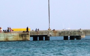 Family vacation, family fun, jumping from dock