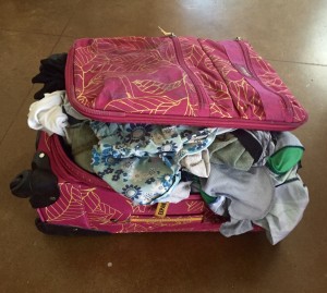 Oner Packed Luggage, luggage, family travel, family vacation