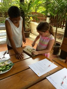 Thai House, Bangkok, Thailand, Thai Cooking, Learn Thai Cooking