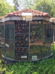 Cambodia, Landmines, Angkor Wat, Travel,Angor Wat, Cambodia, travel, Landmine Museum, Siem Reap