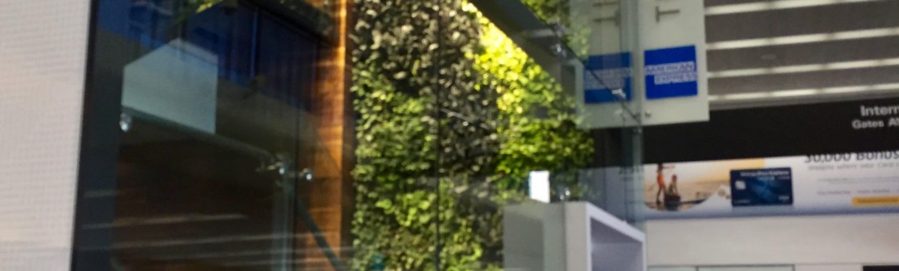 Amex Centurion Lounge, Centurion, Centurion Lounge, SFO, Airport Lounge, Travell