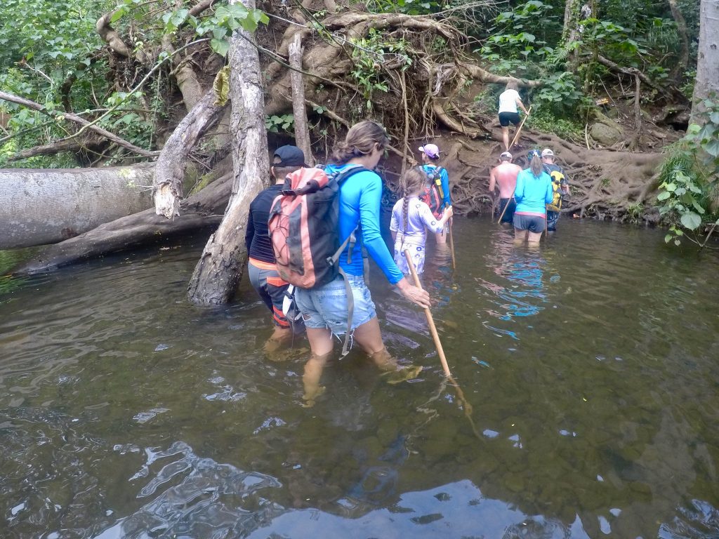 family travel, Hawaii with kids, Hawaii adventures