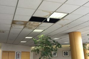 Ceiling United Club, LAX, United Club