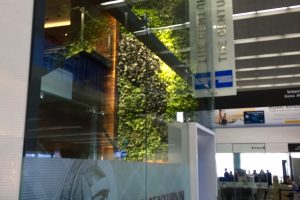 Amex Centurion Lounge, Centurion, Centurion Lounge, SFO, Airport Lounge, Travell
